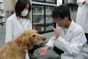 20121022_23_j23_ino_001