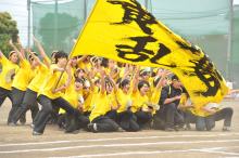 体育祭 体育祭