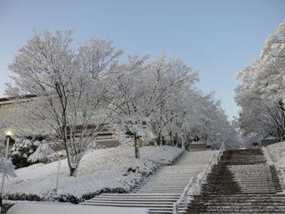 雪景色の正門前階段　予定通りに入試ができて一安心でした。