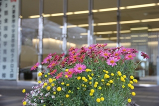 保護者ガーデニングで玄関を飾る美しい花々