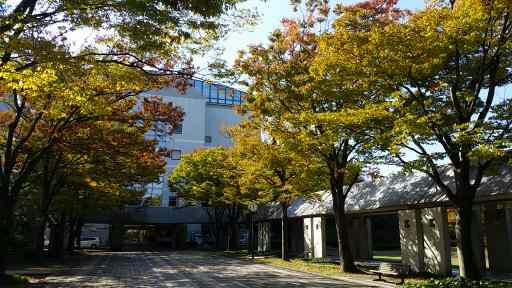 紅葉が美しい秋のキャンパス