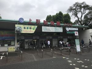 先進コース１年野外探究-上野動物園(1)