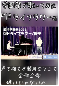 ドライフラワー