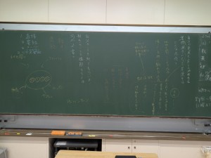 PXL_20251028_004015129.MP (1)