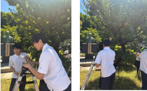 梅狩り