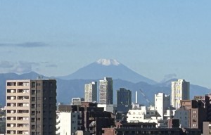 冬ちかし
