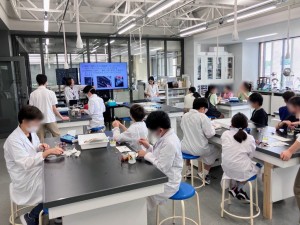 体験授業を実施しました