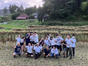 「CAC鴨川・里山保全活動」でドルトン米を収穫しました