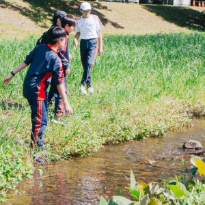 中学1年生・野川見学会