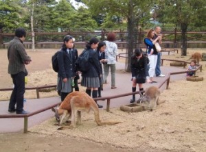 合宿
