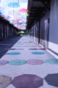 日藤祭⑧