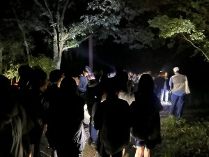ナイトハイク