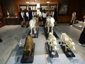 生物資源科学部