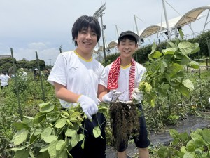 ブログ③