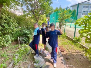 【グリーンボランティア】