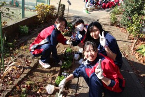 ガーデニングボランティア