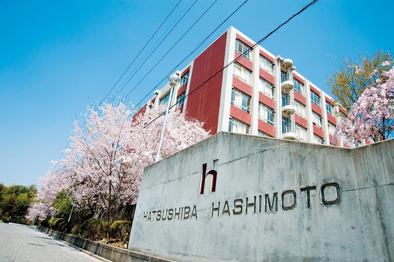 hatushibahasimoto