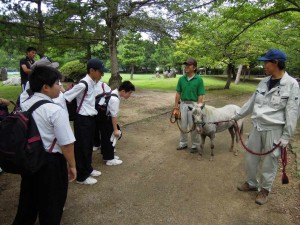 夏期体験学習合宿1