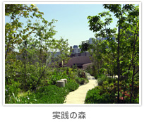 実践の森