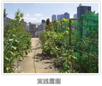 実践農園