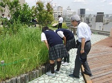 理科特別授業