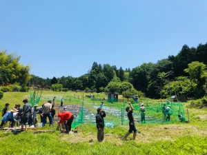 土曜選択「 タネ 」