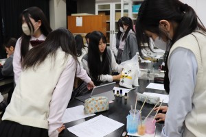 IMG_7996 - コピー