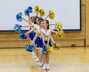 藤桐祭のご報告