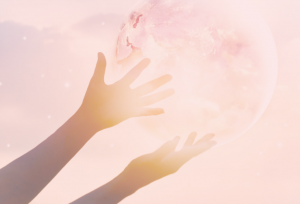 6年後をしっかり見据えた進学指導