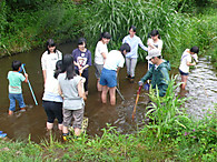 夏休みの環境学習校外活動