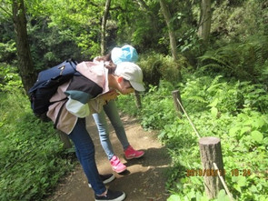 《中学2年》　小網代の森研修