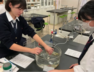 高2化学　鎖式炭化水素の実験