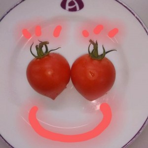 tomato3