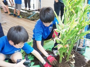 【中高】第25回工学院大学わくわくサイエンス祭科学教室　１日目