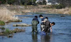 【サイエンス部】水生生物調査