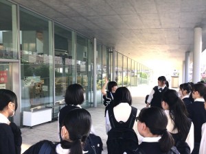 IMG_3173