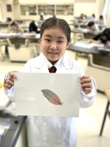20250524_061157820_iOS
