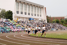 体育大会 体育大会