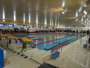 20251026水泳部第15回ジュエンカップ参加 (22)