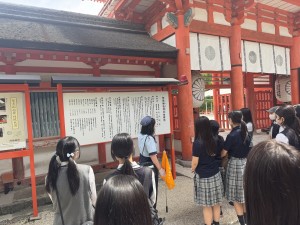 Image (2 下鴨)