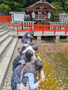 Image (3　水御籤)