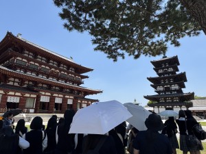 Image (3　薬師寺)