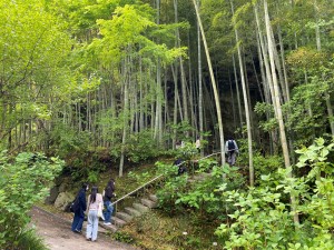 IMG_8612