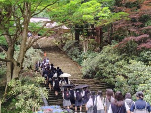 長谷寺