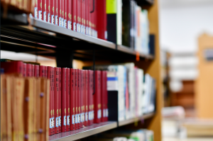 スクリーンショット (76)