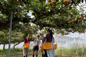 Green Journey Project