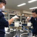 2019高3生物微生物実験③ (250x187)