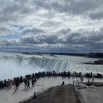 IMG_8232-850x1133