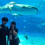 IMG_9703-850x638