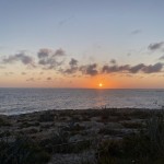 IMG_4166-850x638